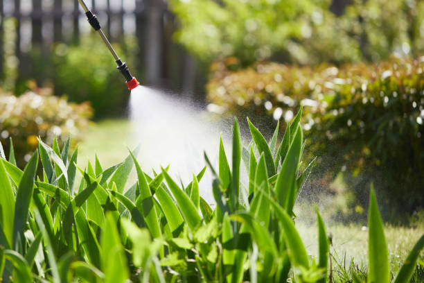 Tamper-Resistant Bait Stations for Rodents in Vail